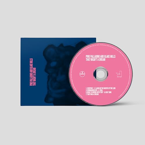 That Wasn'T A Dream | Get Cheap Vinyl