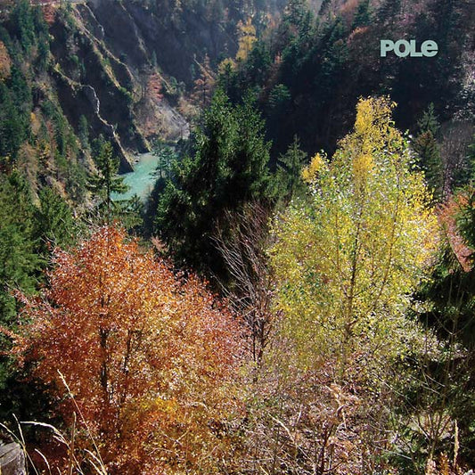 Wald | Get Cheap Vinyl