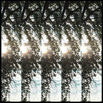 Dialectic Of Ignorance | Mint (M) Mint (M) Get Cheap Vinyl
