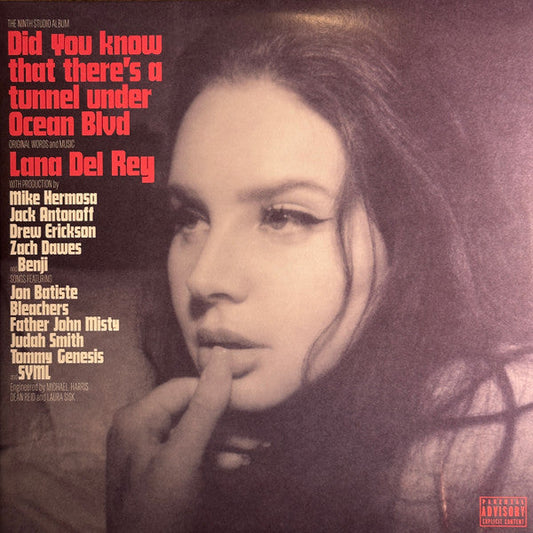 Did You Know That There's A Tunnel Under Ocean Blvd | Mint (M) Mint (M) Get Cheap Vinyl