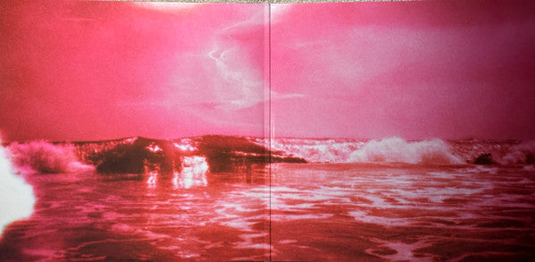 Did You Know That There's A Tunnel Under Ocean Blvd | Mint (M) Mint (M) Get Cheap Vinyl