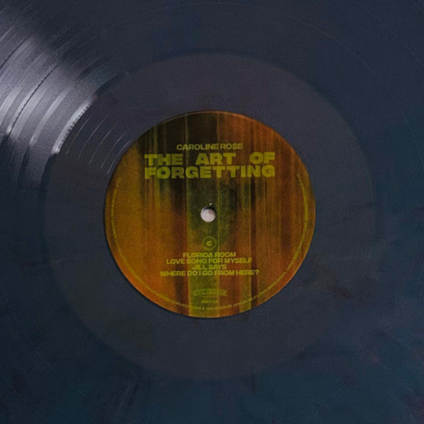 The Art of Forgetting (2xVINYL VMP) | Mint (M) Mint (M) Get Cheap Vinyl