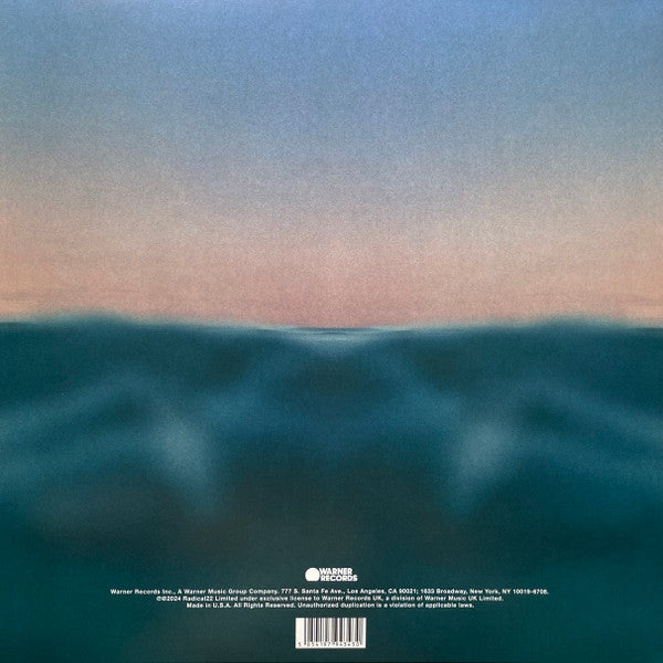 Radical Optimism *SIGNED INSERT* | Mint (M) Near Mint (NM) Get Cheap Vinyl