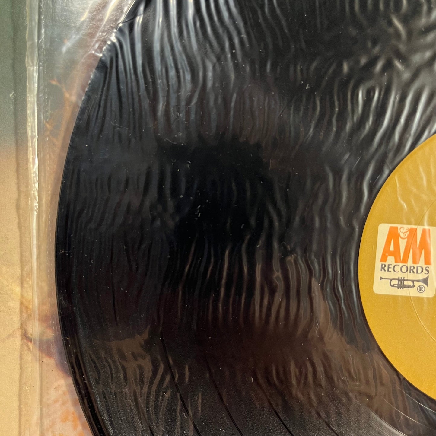 Love Is Blue | Mint (M) Excellent (EX) Get Cheap Vinyl