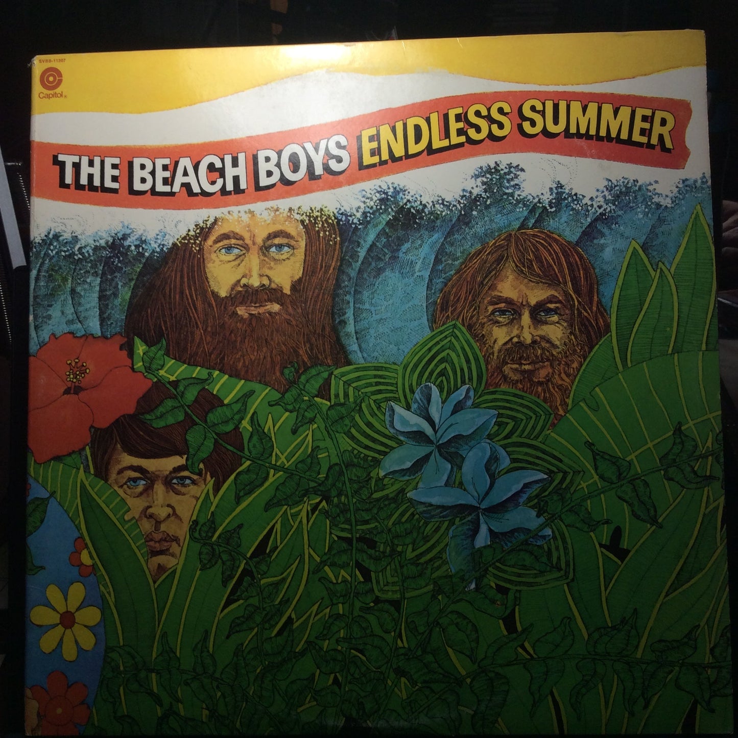 Endless Summer (2xVINYL) *w/POSTER* | Excellent+ (EX+) Near Mint (NM) Get Cheap Vinyl