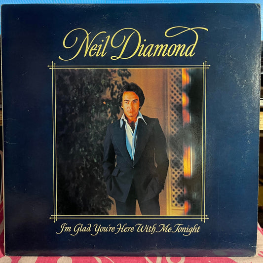 I'm Glad You're Here With Me Tonight *TERRE HAUTE* | Near Mint (NM) Near Mint (NM) Get Cheap Vinyl