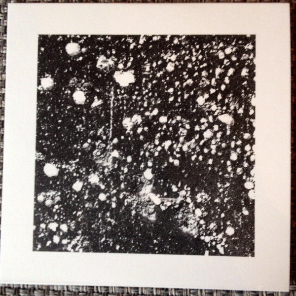 Living Fields | Mint (M) Mint (M) Get Cheap Vinyl