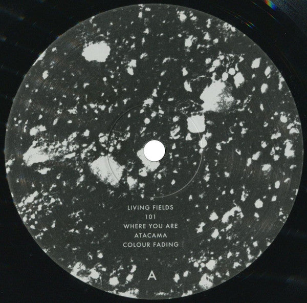 Living Fields | Mint (M) Mint (M) Get Cheap Vinyl