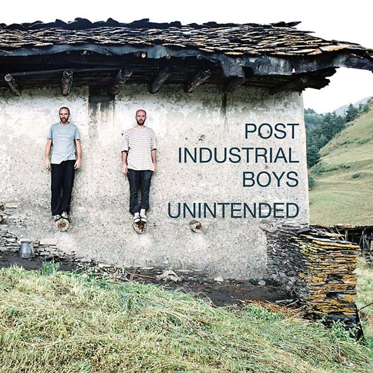 Unintended | Get Cheap Vinyl