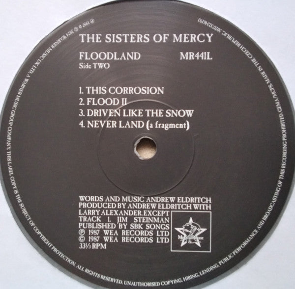 Floodland (COLOR VINYL) | Mint (M) Mint (M) Get Cheap Vinyl