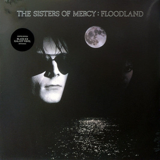 Floodland (COLOR VINYL) | Mint (M) Mint (M) Get Cheap Vinyl