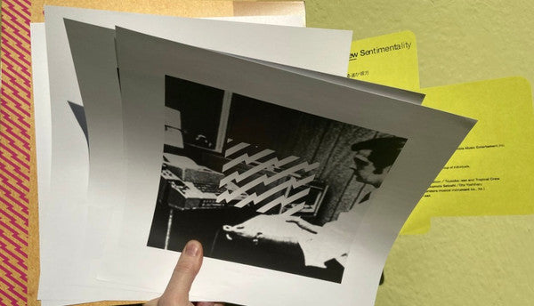 New Sentimentality (CARDBOARD SMEAR VINYL) | Mint (M) Mint (M) Get Cheap Vinyl