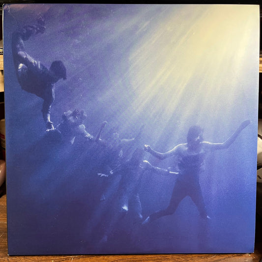 Total Life Forever (2xVINYL) | Near Mint (NM) Near Mint- (NM-) Get Cheap Vinyl