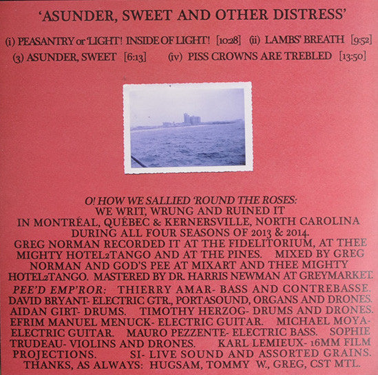 Godspeed You Black Emperor! Asunder, Sweet And Other Distress LP Mint (M) Mint (M) Get Cheap Vinyl