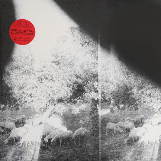 Godspeed You Black Emperor! Asunder, Sweet And Other Distress LP Mint (M) Mint (M) Get Cheap Vinyl