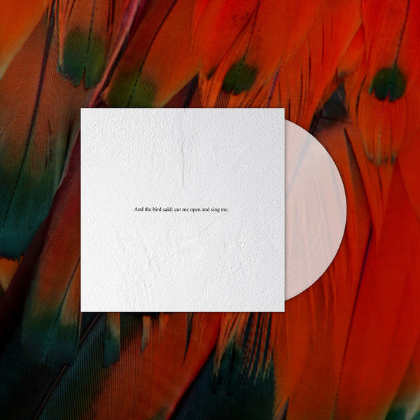 And the Bird Said: Cut Me Open and Sing Me | Mint (M) Mint (M) Get Cheap Vinyl