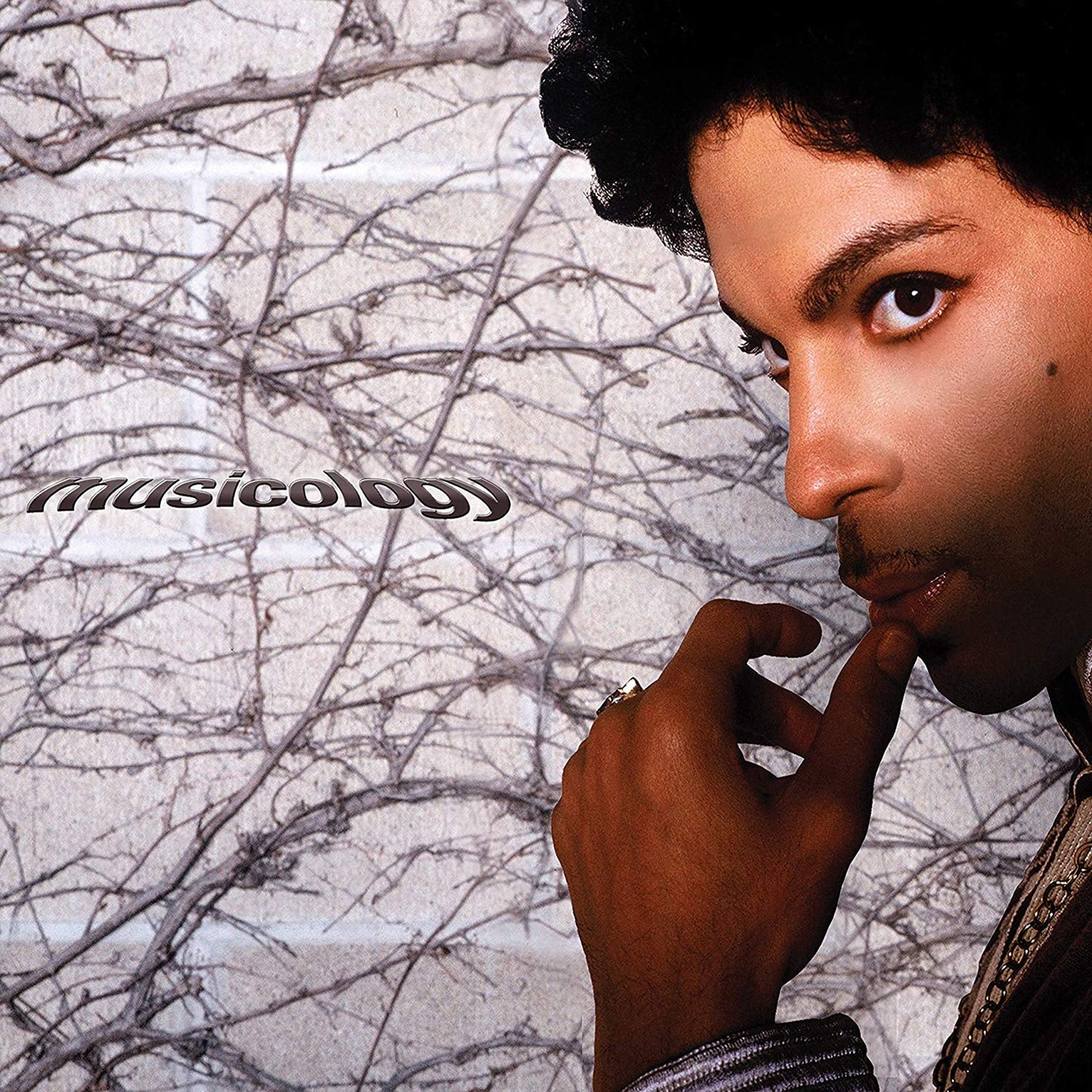 Musicology (2 LP, Purple) | Mint (M) Mint (M) Get Cheap Vinyl