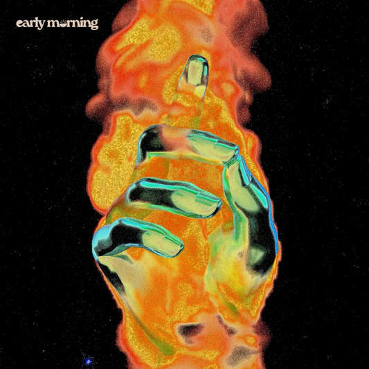SILVER LAKE / EVO (VINYL) | Mint (M) Mint (M) Get Cheap Vinyl