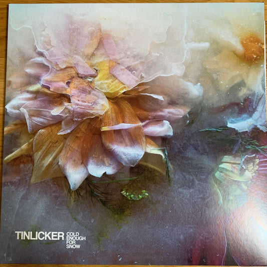 Cold Enough For Snow | Mint (M) Mint (M) Get Cheap Vinyl