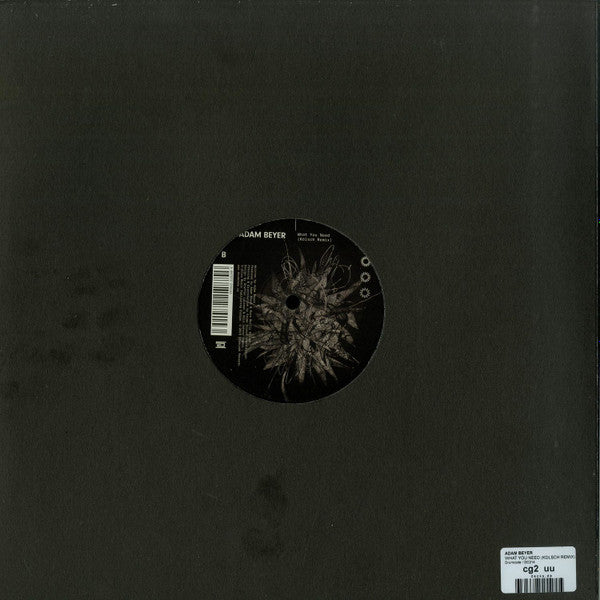 What You Need (Kölsch Remix)(VINYL) | Mint (M) Mint (M) Get Cheap Vinyl