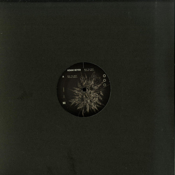 What You Need (Kölsch Remix)(VINYL) | Mint (M) Mint (M) Get Cheap Vinyl