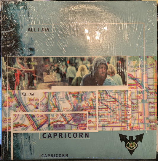 All I Am (Remixes) | Near Mint (NM) Near Mint (NM) Get Cheap Vinyl