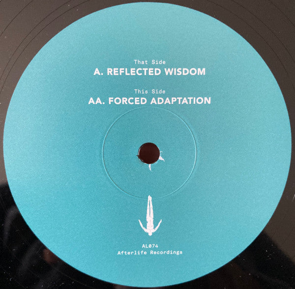 Five Phases - Reflected Wisdom | Mint (M) Mint (M) Get Cheap Vinyl