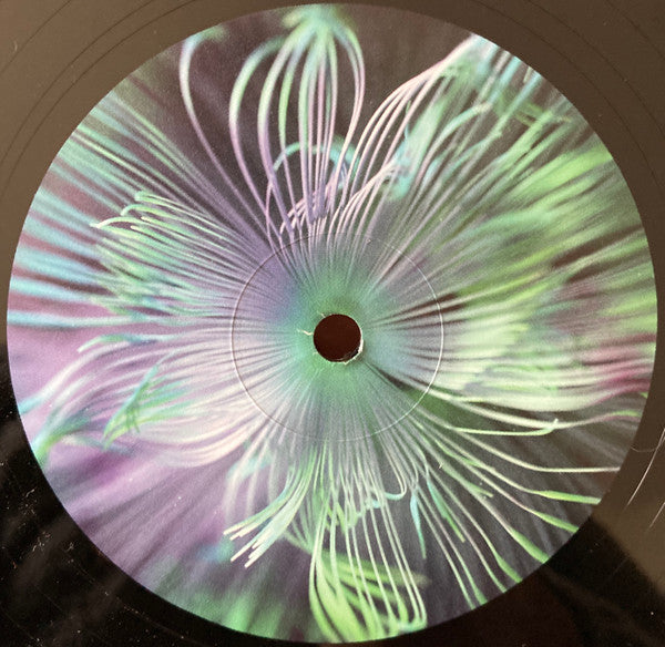 Five Phases - Reflected Wisdom | Mint (M) Mint (M) Get Cheap Vinyl