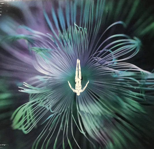 Five Phases - Reflected Wisdom | Mint (M) Mint (M) Get Cheap Vinyl