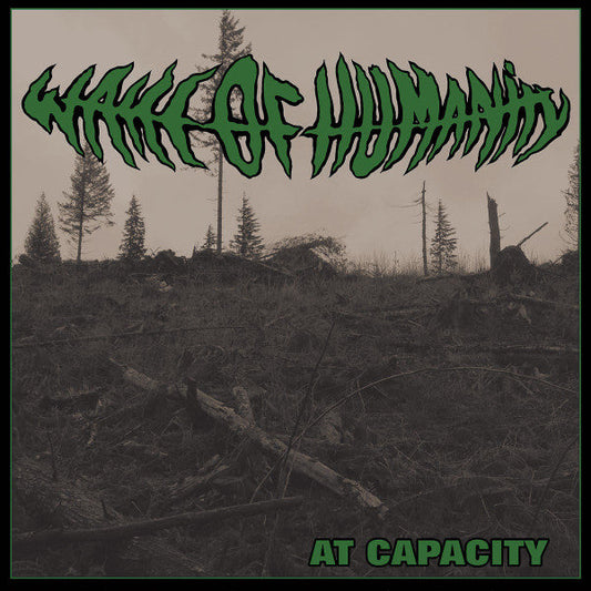 At Capacity (TRANSPARENT GREEN MARBLE VINYL 7") | Mint (M) Mint (M) Get Cheap Vinyl