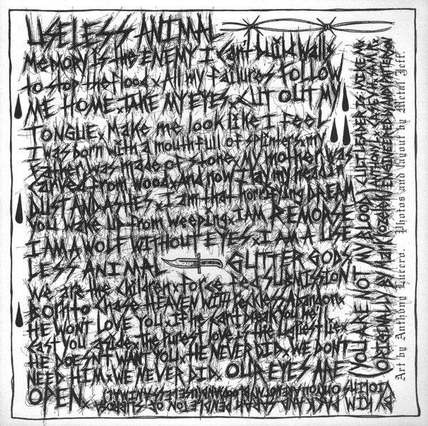 Useless Animal (7" VINYL) *TRANSPARENT GOLD* | Mint (M) Mint (M) Get Cheap Vinyl