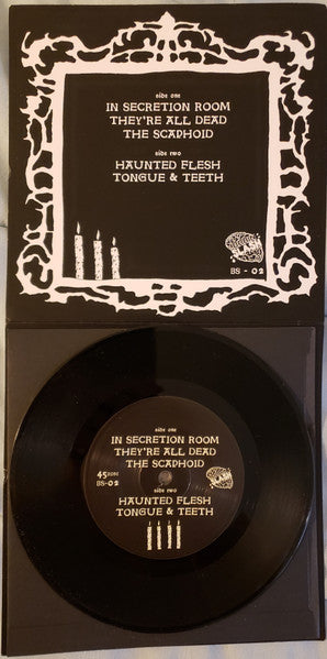 Haunted Flesh (VINYL 7") | Mint (M) Mint (M) Get Cheap Vinyl