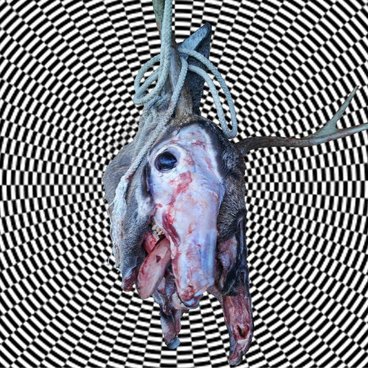 Feral King / Lonely Ghost Parade (RED/BLUE VINYL 7") | Mint (M) Mint (M) Get Cheap Vinyl