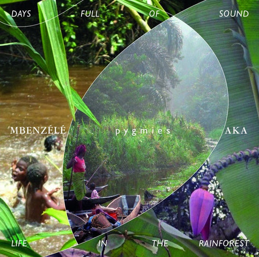 Days Full Of Sound - Life In The Rainforest | Get Cheap Vinyl