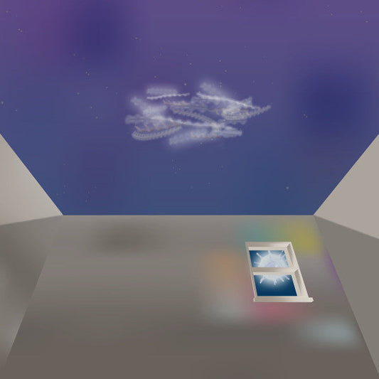 I Can't Sleep, I Can't Wake Up | Mint (M) Mint (M) Get Cheap Vinyl