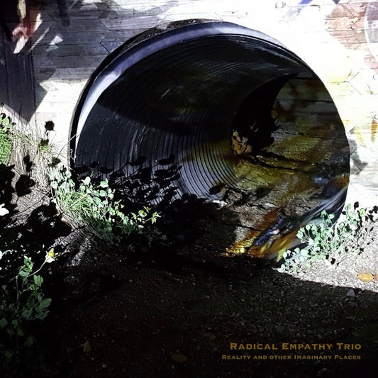 Reality and Other Imaginary Places | Get Cheap Vinyl