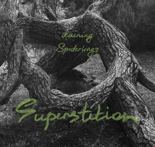Superstition | Get Cheap Vinyl