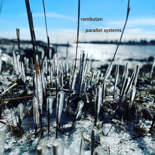 Parallel Systems | Get Cheap Vinyl