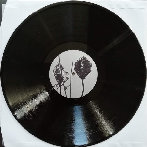 Placid | Mint (M) Near Mint (NM) Get Cheap Vinyl