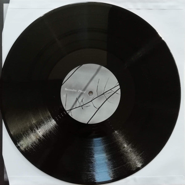 Placid | Mint (M) Near Mint (NM) Get Cheap Vinyl