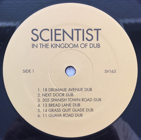 In The Kingdom Of Dub | Mint (M) Mint (M) Get Cheap Vinyl