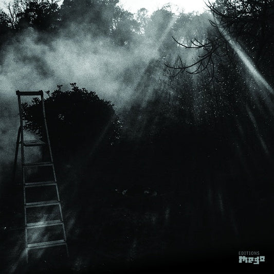 Animal Electrique | Get Cheap Vinyl