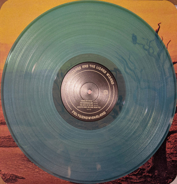 Polygondwanaland | Mint (M) Mint (M) Get Cheap Vinyl