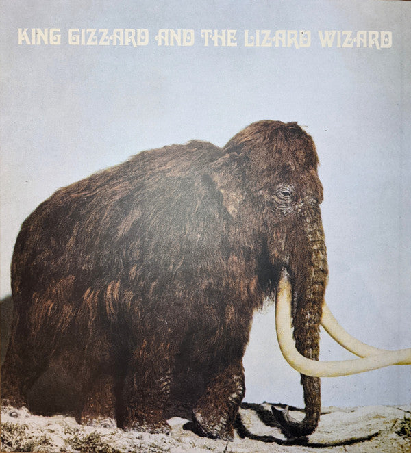 Polygondwanaland | Mint (M) Mint (M) Get Cheap Vinyl