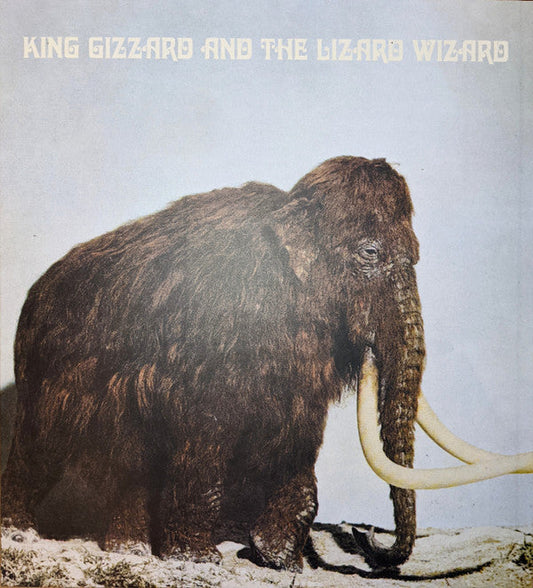 Polygondwanaland | Mint (M) Mint (M) Get Cheap Vinyl