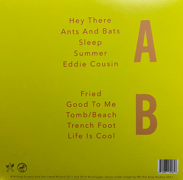 Teenage Gizzard | Mint (M) Mint (M) Get Cheap Vinyl