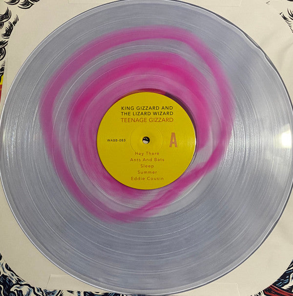 Teenage Gizzard | Mint (M) Mint (M) Get Cheap Vinyl