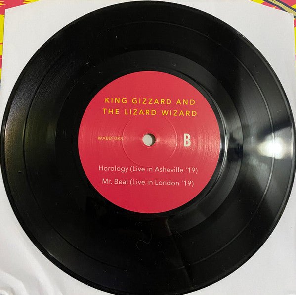 Teenage Gizzard | Mint (M) Mint (M) Get Cheap Vinyl