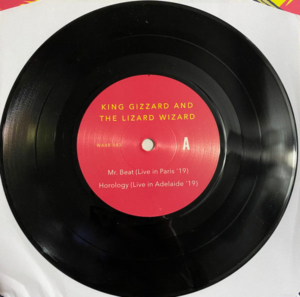 Teenage Gizzard | Mint (M) Mint (M) Get Cheap Vinyl