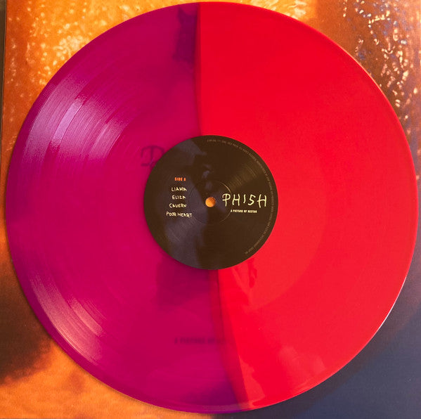 A Picture Of Nectar (B&M EXCLUSIVE: GRAPE APPLE PIE VINYL) | Mint (M) Mint (M) Get Cheap Vinyl